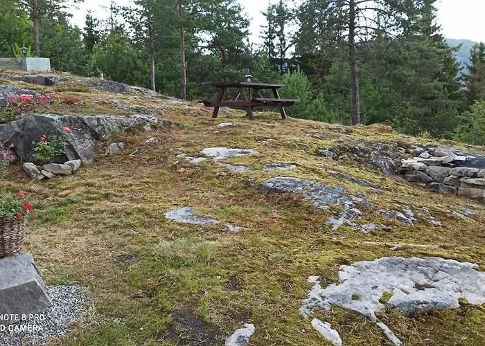 Suigard Smia * Sauland